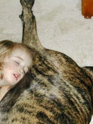 Naked girl sleeping with dog