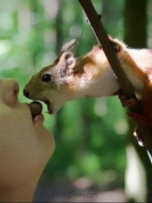 Woman and squirrel, an impossible love?