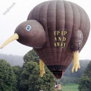 funny-hot-balloon-bird