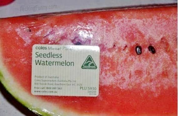 seedless-watermelon