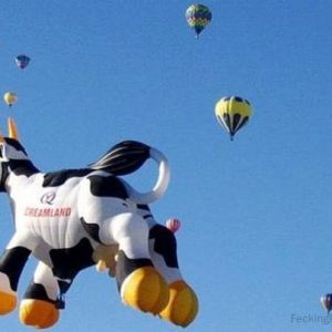 funny-ballon-flying-cow