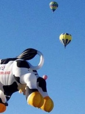 Flying cow