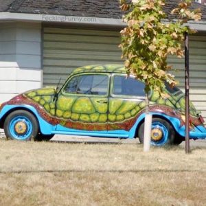 funny-car-turtle