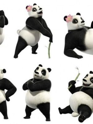 Yoga panda