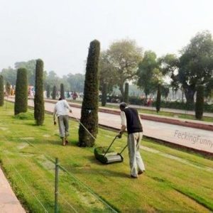 mowing-in-india