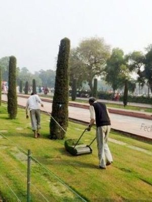 Mowing in India