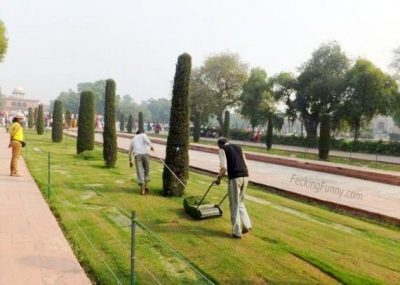 mowing-in-india