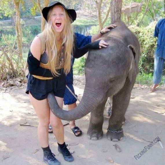 peevish-elephant-molesting-girl