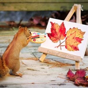 artist Squirrels