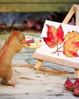 Squirrel  Artist