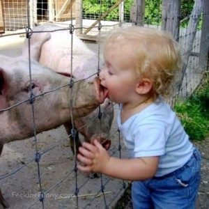 kid-wet-kissing-with-a-pig
