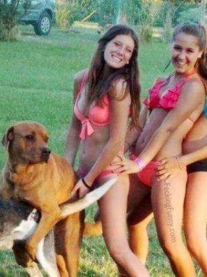 Zoophilia: girls have group sex with dogs