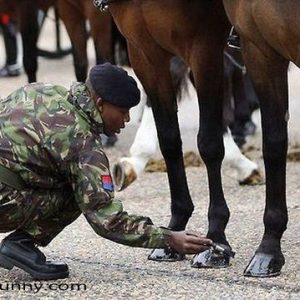 nail_job_soldier_horse